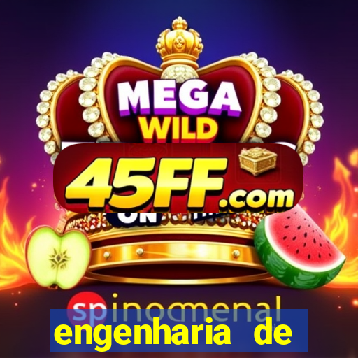 engenharia de software ead vale a pena
